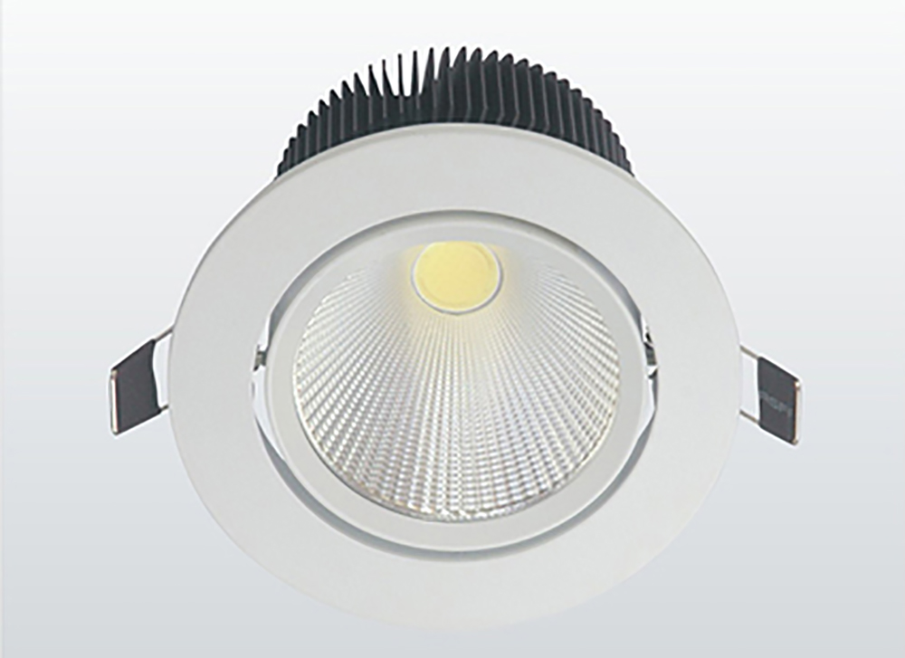 LED COB Down Light (2)