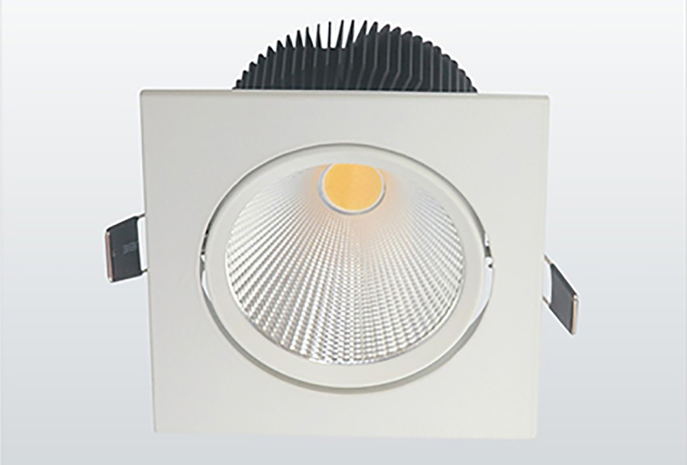 LED COB Down Light (3)